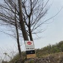 강동로-39 이미지