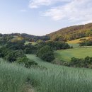 태화 목장 이미지