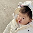 종일목장 이미지