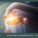달리자병원 이미지