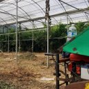 준경농장 이미지