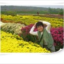 홍반장공인중개사사무소 이미지