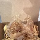 호시타코야끼 | 🍡 루원시티에서 만난 푸짐한 간식! 호시타코야끼 솔직 후기