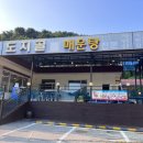 도지골등나무집 이미지