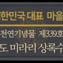 완도 미라리 상록수림 이미지