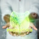 라이프플러스 휘트니스 강서점 이미지