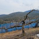 정영농장 이미지