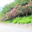 산주마을 이미지