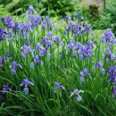 구룡자동차야영장 이미지