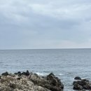 대왕암공원해안화장실 이미지