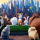 The secret life of pets 2 이미지