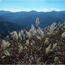 정선군 종합관광안내소 이미지