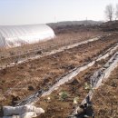 고은농장 이미지