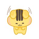 신정동물병원 이미지