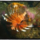 물속풍경 이미지