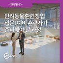 (주) 한국어질리티연합(카페어질리티) | 반려동물훈련 창업 입문! 예비 훈련사가 준비해야 할 과정
