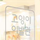 고양이 이발관 이미지