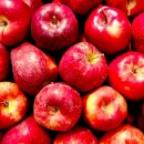 과일도시 이미지