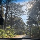 룸앤톡 | 양양 더앤리조트 스위트패밀리룸 내돈내산 후기｜바베큐 예약 안하면 망합니다… 수영장 5.5만원 실화?