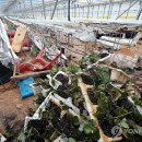 호우농장 이미지