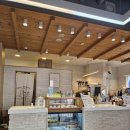 카페추천 울산 남구 달동 핫플레이스 가볍게 오기 좋은 카페 블루샥 울산 삼산센트럴자이점을 방문해보다