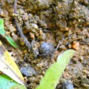 동암아이사랑어린이집 이미지