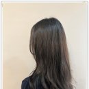 라운지부띠끄