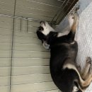 광영 파출소 이미지