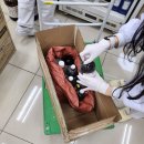 주식회사 에스에이치 이미지