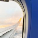 온 가족이 즐기는 「숲속음악소풍 시즌2」 | 올네이션스 목자의기도원 성결선교연합회 제주 가을소풍 ②