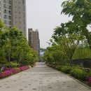 등촌근린공원 이미지