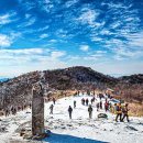 산 카카오 검색결과