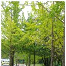 칠장사 입구 이미지