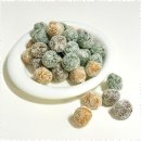 정성스럽개 이미지