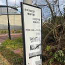 유동룡미술관 | 자연에 대해 다시 생각하게 되는, 제주 이타미준 유동룡 미술관 후기