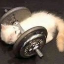 스타유통 이미지