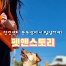 펫앤스토리 이미지