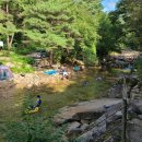 큰소나무민박 이미지