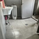 오아시스 유도클럽 이미지