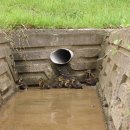 오리공원 이미지