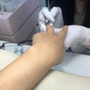 네일효월