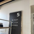 퀸애견 티스토리