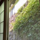 경희네민박 이미지