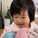 캣블라썸 네이버블로그