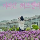 지리산허브밸리 이미지