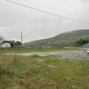 보성전기 | [보성 숙소] 전남 보성 녹차밭뷰 힐링펜션, 구름속의 산책