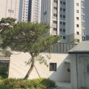 환경체육단지(돔형) | 🏠 인덕원·평촌·산본 임장 후기 | 2040 생애최초가 직접 발품 판 단지별 장단점
