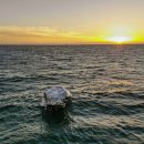 Sculpture By the Sea Cottesloe - 무료 이벤트 (1 – 18 MARCH 2019) 이미지