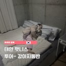 애견동반여행 태안팻니스투어 아이와함께, 태안여여재, 트레블브레이크후기