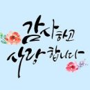 늘푸른한가족요양보호사교육원 | [양천구]요양보호사교육원의 문을 닫다